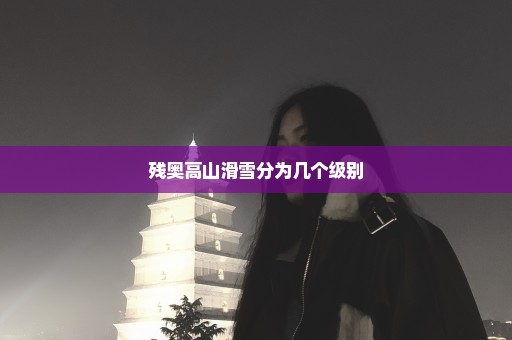残奥高山滑雪分为几个级别