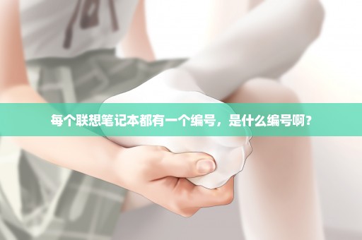 每个联想笔记本都有一个编号，是什么编号啊？