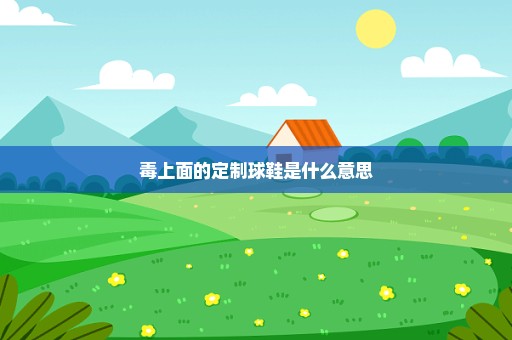 毒上面的定制球鞋是什么意思