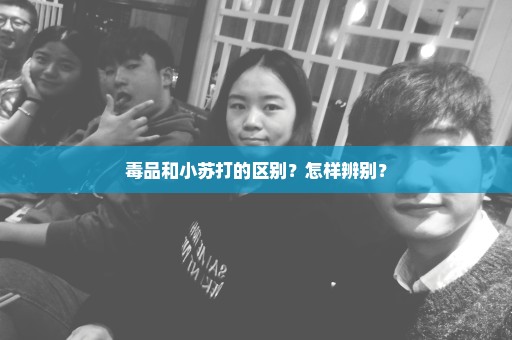 毒品和小苏打的区别？怎样辨别？