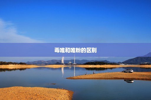 毒唯和唯粉的区别