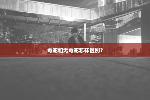 毒蛇和无毒蛇怎样区别？