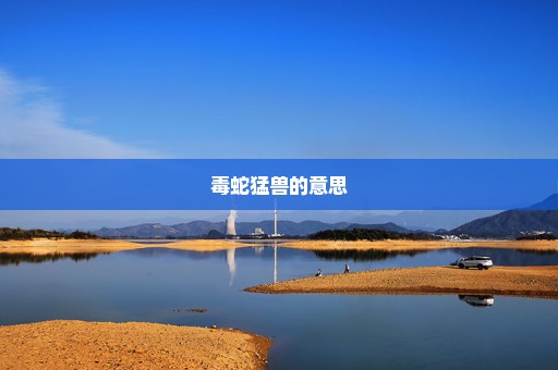 毒蛇猛兽的意思