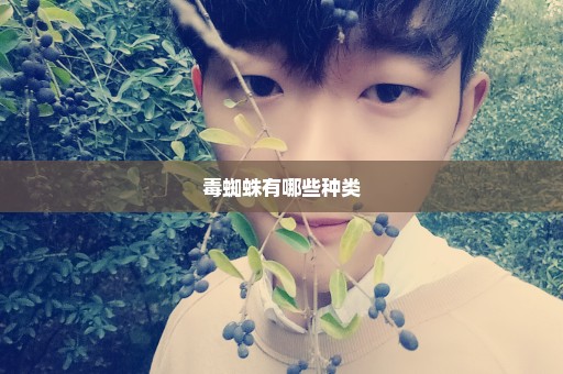 毒蜘蛛有哪些种类