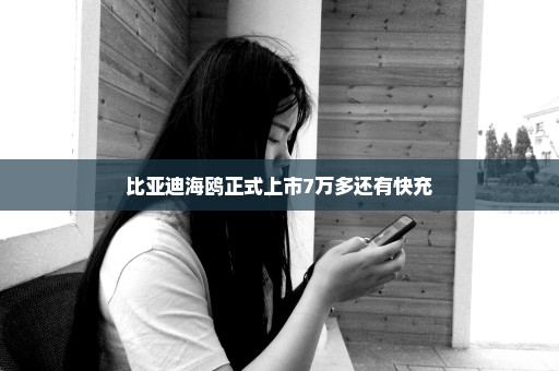 比亚迪海鸥正式上市7万多还有快充