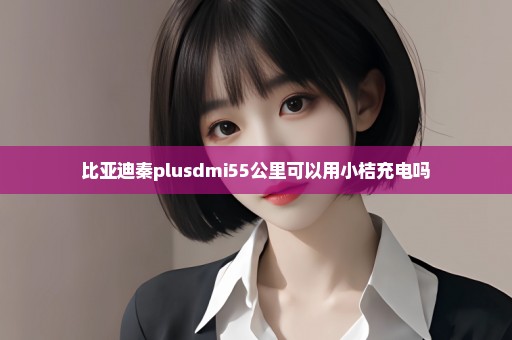 比亚迪秦plusdmi55公里可以用小桔充电吗