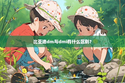 比亚迪dm与dmi有什么区别？