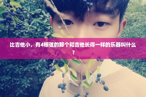 比吉他小，有4根弦的那个和吉他长得一样的乐器叫什么？