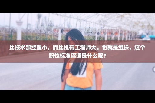 比技术部经理小，而比机械工程师大。也就是组长，这个职位标准称谓是什么呢？