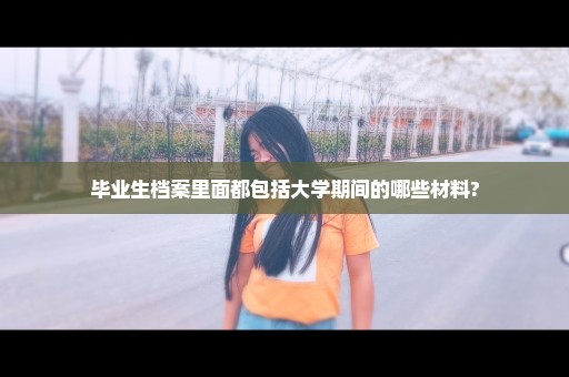 毕业生档案里面都包括大学期间的哪些材料?