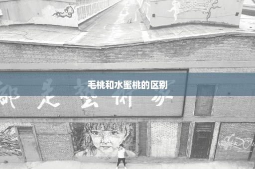 毛桃和水蜜桃的区别