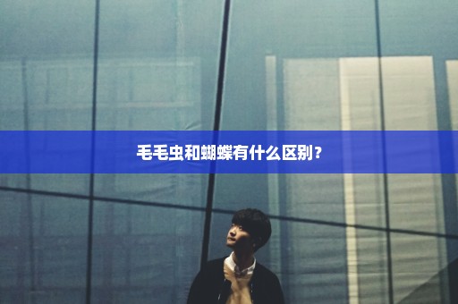 毛毛虫和蝴蝶有什么区别？