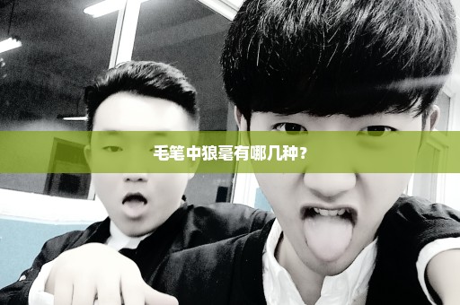 毛笔中狼毫有哪几种？