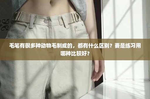 毛笔有很多种动物毛制成的，都有什么区别？要是练习用哪种比较好？