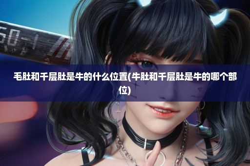 毛肚和千层肚是牛的什么位置(牛肚和千层肚是牛的哪个部位)