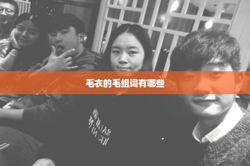 毛衣的毛组词有哪些