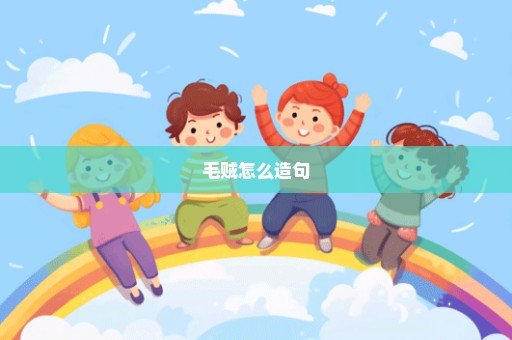 毛贼怎么造句