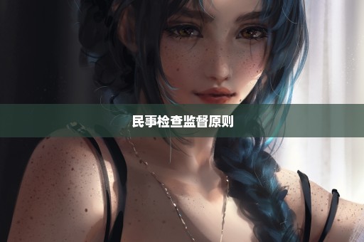 民事检查监督原则