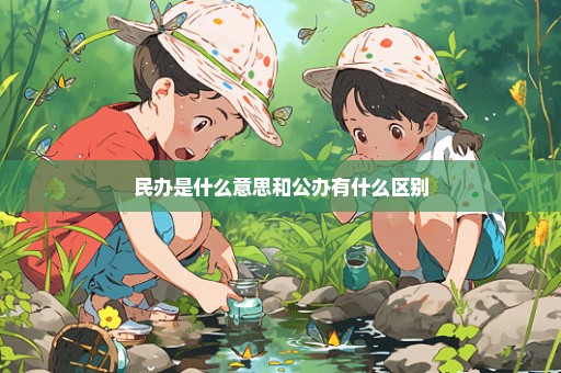 民办是什么意思和公办有什么区别