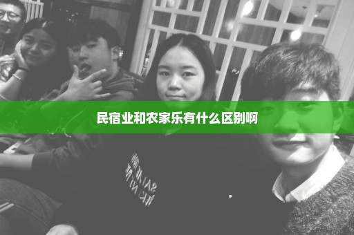 民宿业和农家乐有什么区别啊