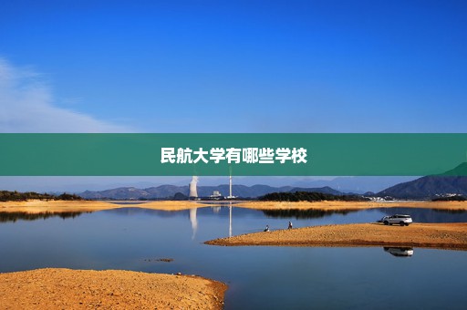 民航大学有哪些学校