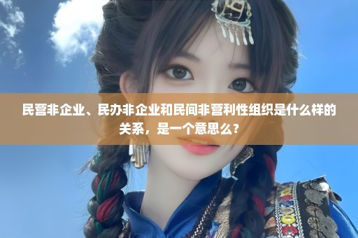 民营非企业、民办非企业和民间非营利性组织是什么样的关系，是一个意思么？