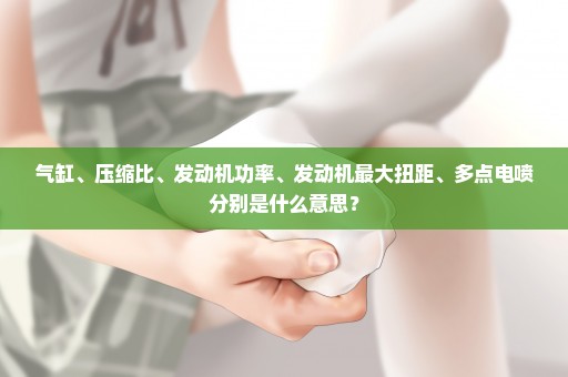 气缸、压缩比、发动机功率、发动机最大扭距、多点电喷分别是什么意思？