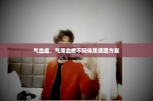 气血虚、气滞血瘀不同体质调理方案