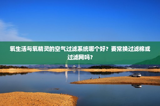 氧生活与氧精灵的空气过滤系统哪个好？要常换过滤棉或过滤网吗？