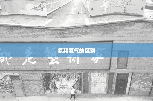 氨和氨气的区别