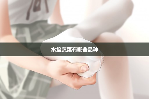 水培蔬菜有哪些品种