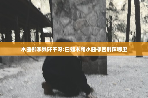 水曲柳家具好不好:白蜡木和水曲柳区别在哪里