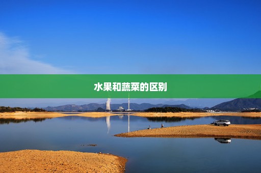 水果和蔬菜的区别
