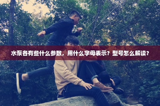 水泵各有些什么参数，用什么字母表示？型号怎么解读？