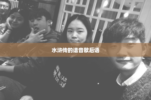 水浒传的谐音歇后语