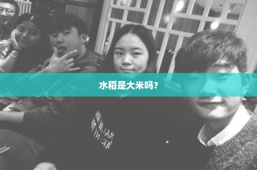 水稻是大米吗？