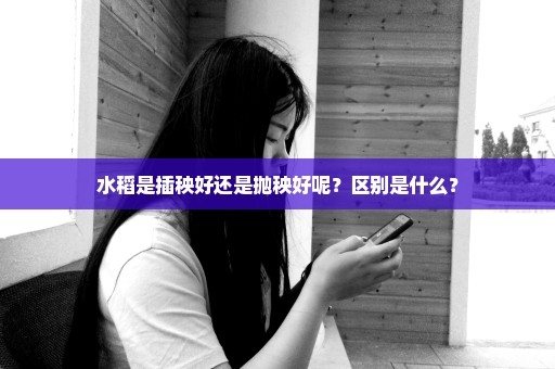 水稻是插秧好还是抛秧好呢？区别是什么？