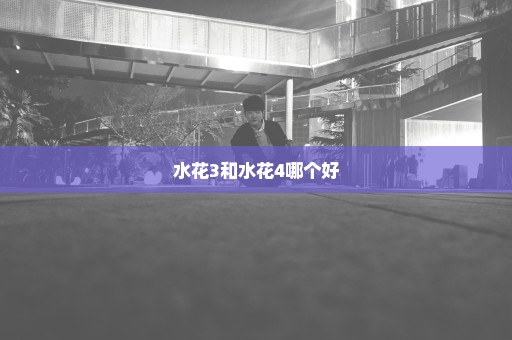 水花3和水花4哪个好