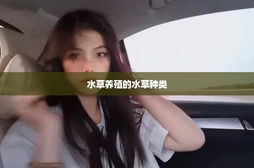 水草养殖的水草种类