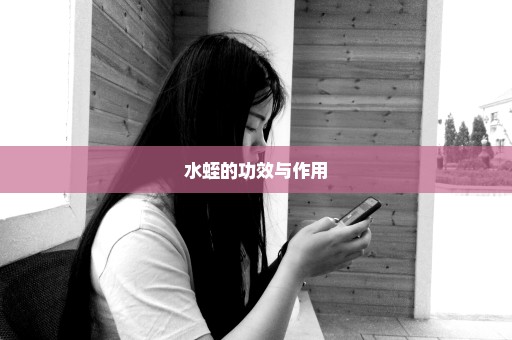 水蛭的功效与作用
