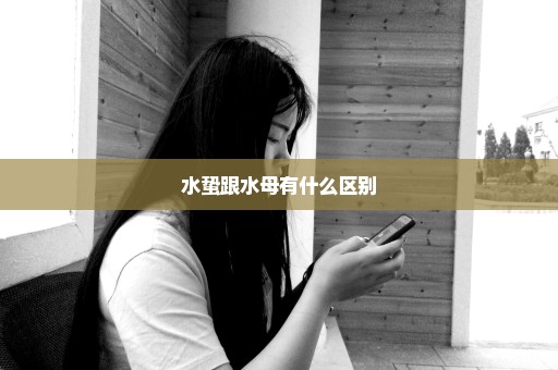 水蛰跟水母有什么区别