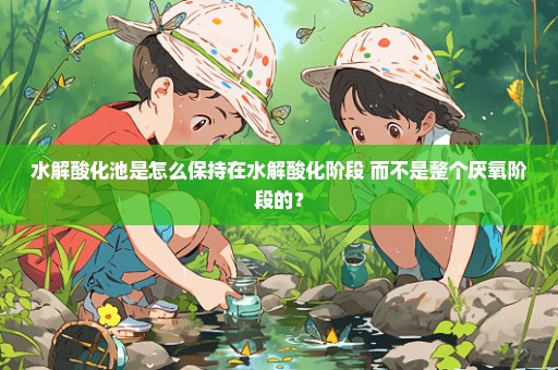 水解酸化池是怎么保持在水解酸化阶段 而不是整个厌氧阶段的？