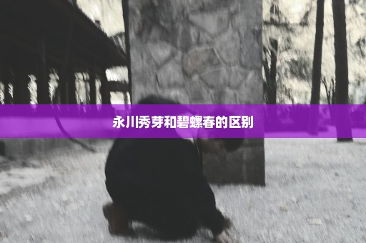 永川秀芽和碧螺春的区别