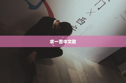 求一首中文歌