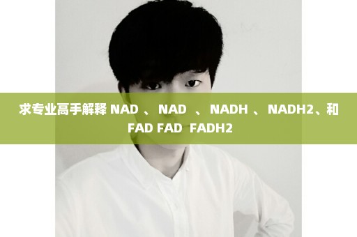 求专业高手解释 NAD 、 NAD+ 、 NADH 、 NADH2、和 FAD FAD+ FADH2