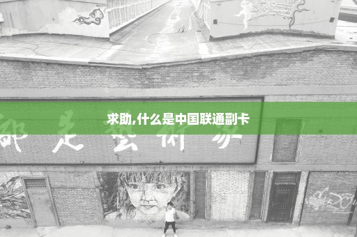 求助,什么是中国联通副卡