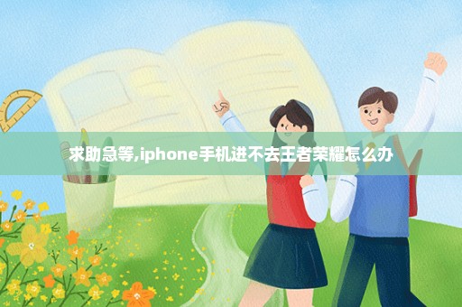 求助急等,iphone手机进不去王者荣耀怎么办