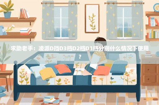 求助老手：凌派D挡D3档D2档D1档分别什么情况下使用？