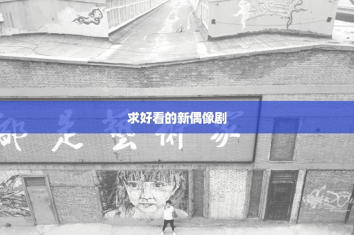 求好看的新偶像剧