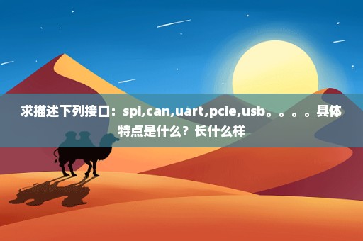 求描述下列接口：spi,can,uart,pcie,usb。。。。具体特点是什么？长什么样
